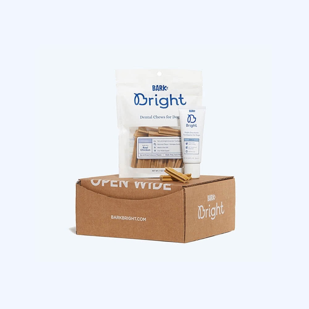 BarkBox Bright Toothpaste & Toothbrush Chews