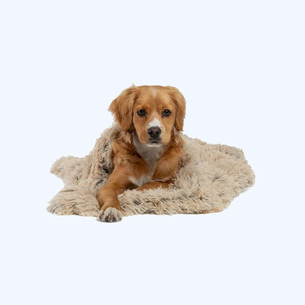 Best Friends by Sheri Shag Throw Blanket